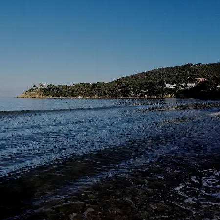 Pepita Procchio (Isola d'Elba)